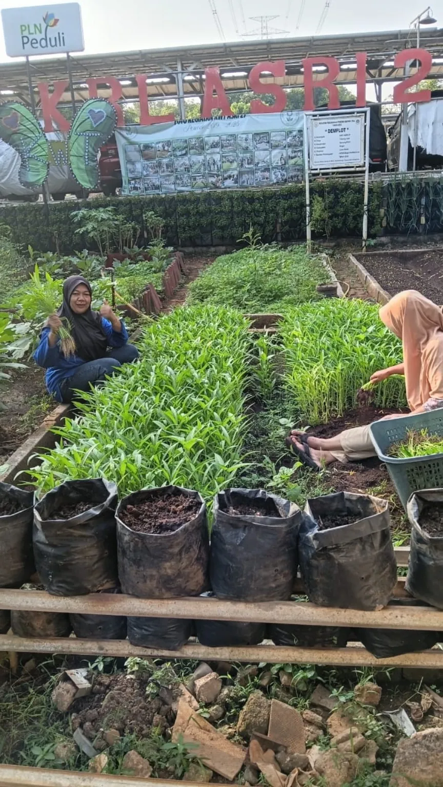 Dokumentasi asli LOKA BUMI Asri 27, foto 6